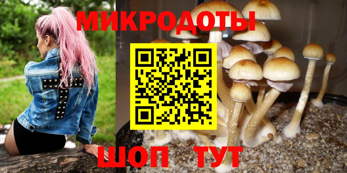 Галлюциногенные грибы Psilocybe Можайск